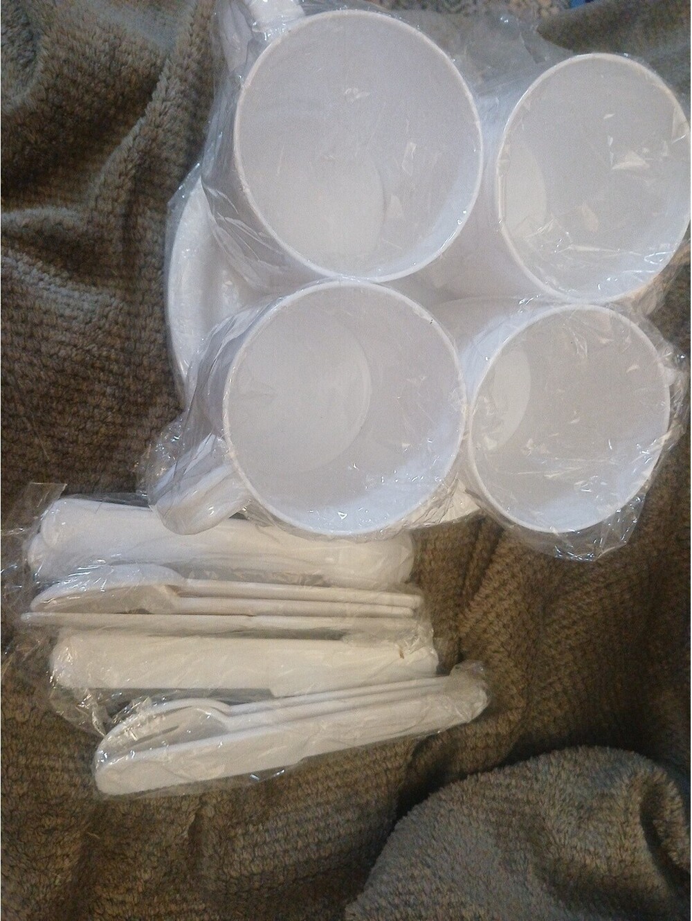Reusable White Plastic Picnic Set. Totaling 20 Pieces. Great for Camping